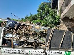 Professional Junk Removal Services in Placentia, CA